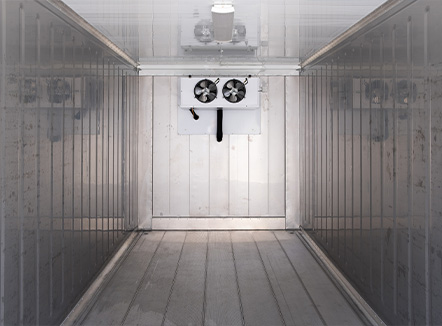 Standard Non Working Refrigerated 20 Foot Cargo Worthy