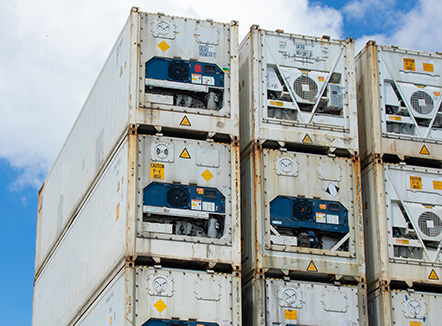 90 stacked Refrigerated 20 Foot One Trip shipping containers